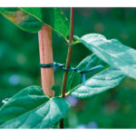 ALAMBRE ATADURA JARDIN ALMA VERDE - 25 M