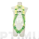 ARNES FRONTAL/DORSAL - 27-C