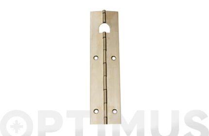 BISAGRA PIANO EN TIRA 960 MM