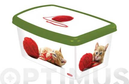 CAJA DECORADA ACCESORIOS PERROS - 04706-P77-04