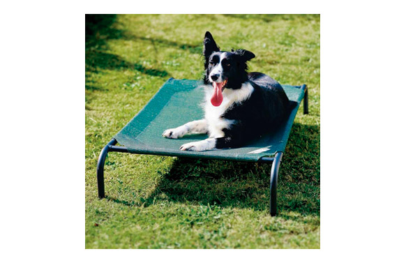CAMA MASCOTA M VERDE 110X65X20CM - HASTA 36KG CAMA MASCOTA M VERDE 110X65X20CM - HASTA 36KG - Imagen 1