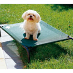 CAMA MASCOTA S VERDE 90X55X20CM - HASTA 15KG