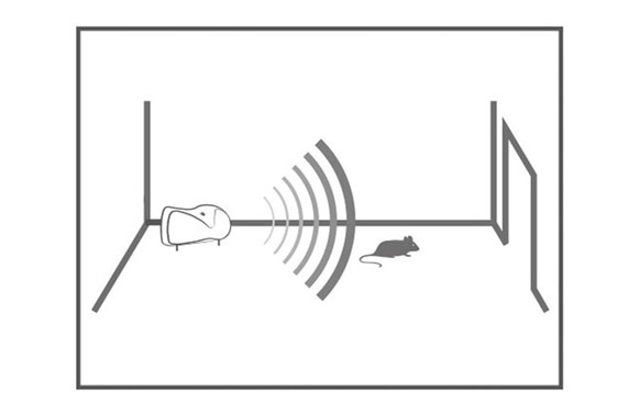 126_68e176cf3ab4f AHUYENTA ROEDORES ULTRASONICO - 30M² - Imagen 5