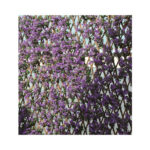 CELOSIA EXTENSIBLE MIMBRE LILA - 01X1,5M