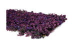 CELOSIA EXTENSIBLE MIMBRE LILA - 01X1,5M - Imagen 3