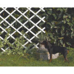 CELOSÍA EXTENSIBLE PLÁSTICO TRELLIFLEX