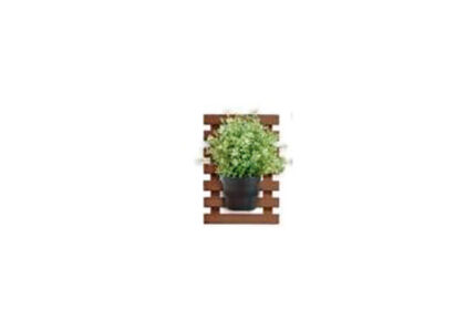 CELOSIA MADERA BIRDY