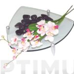 CENTRO CRISTAL TRIANG JAVIER