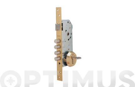 CERRADURA SEGURIDAD R100B ENTRADA 50MM ESCUDO E300 - 30-30 ACERO ESMALTADO