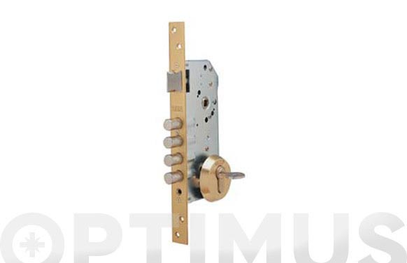 126_68e64685b942a CERRADURA SEGURIDAD R100B ENTRADA 50MM ESCUDO E300 - 30-30 ACERO ESMALTADO - Imagen 1