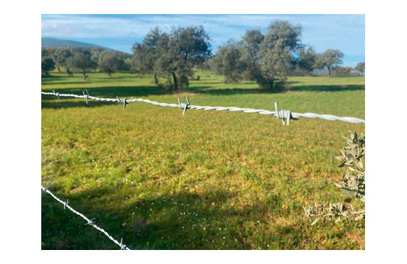 126_68e96943a3868 ALAMBRE DE ESPINO 4/13/15 - 100 M - Imagen 2