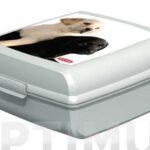 CONTENEDOR SNAP BOX "L" PERROS - 02273-P74-01