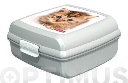 CONTENEDOR SNAP BOX "M" GATOS - 02276-P73-02