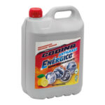 DESENGRASANTE ENERGICO PROFESIONAL
