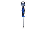 DESTORNILLADOR PUNTA TORX - Imagen 10