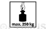ELEVADOR 125/250 KG - Imagen 6