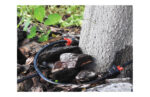 GOTERO INTERLINEA BARREL 4 L/H - 10 UNIDADES - Imagen 3