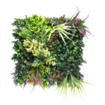 JARDIN VERTICAL BELICE A - 50 X 50 CM