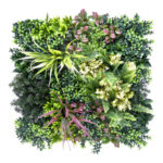 JARDIN VERTICAL BELICE B - 50 X 50 CM