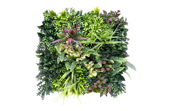 126_68fe793bea916 JARDIN VERTICAL BELICE C - 50 X 50 CM - Imagen 1