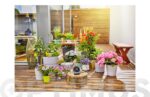 KIT RIEGO POR GOTEO AQUABLOOM TERRAZA BALCON - Imagen 3