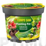 MACETA PLANTACION ' PLANTING POT '