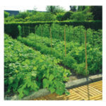 MALLA ENTUTORAR TRELLINET LUZ 20X20 CM