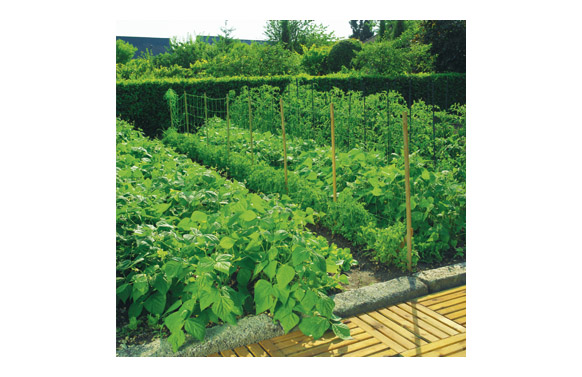 126_6901d77117359 MALLA ENTUTORAR TRELLINET LUZ 20X20 CM - Imagen 1