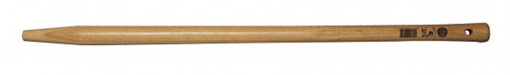 126_6901d9c068471 MANGO PALOTE - Imagen 1