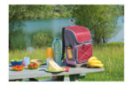 NEVERA FLEXIBLE MOCHILA URBAN PICNIC - Imagen 4