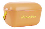 NEVERA RIGIDA RETRO POLAR BOX - Imagen 4