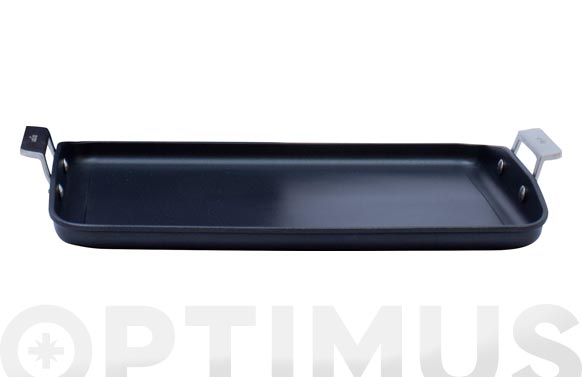 126_69074e6757440 PLANCHA AIRE INCLINADA INDUCCION CON ASAS - Imagen 1