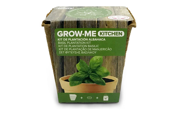 126_6909d91742258 SEMILLAS ALBAHACA ANCHA - Imagen 1