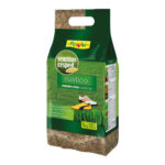 SEMILLAS CESPED RUSTICO