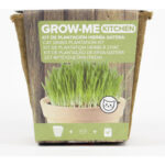 SEMILLAS HIERBA GATOS