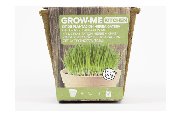 126_6909d93d6e32f SEMILLAS HIERBA GATOS - Imagen 1