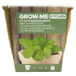 SEMILLAS MENTA PEPERITA