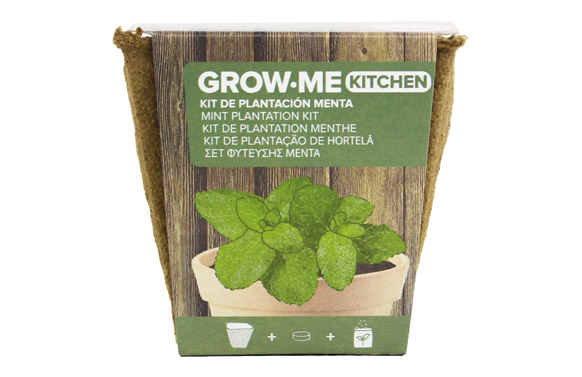 126_6909d93dc8c25 SEMILLAS MENTA PEPERITA - Imagen 1
