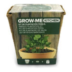 SEMILLAS PEREJIL GIGANTE ITALIA