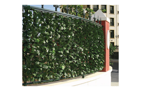 KONICA MINOLTA DIGITAL CAMERA SETO ARTIFICIAL HIEDRA - Imagen 1