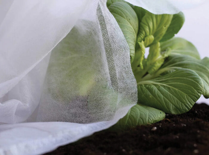 TELA PROTECCION CULTIVO 17 GR - Imagen 7