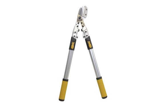 126_690dc4fd76a74 TIJERA CORTARRAMAS PROFESIONAL YUNQUE - Imagen 1