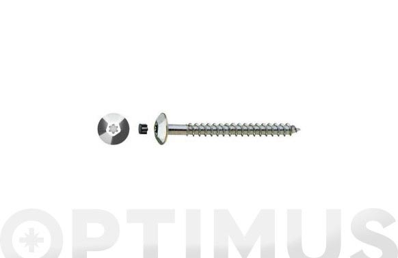 126_690dc78d1d348 TIRAFONDO INVIOLABLE TORX CINCADO - Imagen 1