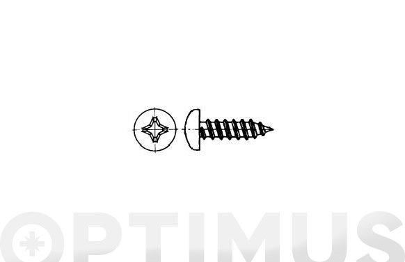 126_690dcd9f94553 TORNILLO PARKER DIN 7981 C/ALOMADA PHILIPS INOX A2 - Imagen 1