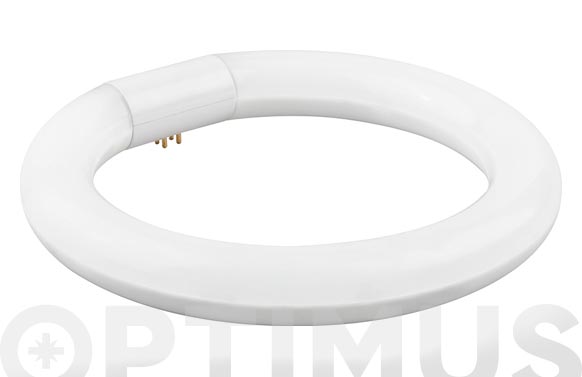 126_690f0afdf39da TUBO FLUORESCENTE LED CIRCULAR T-9 30CM - Imagen 1