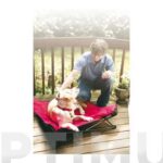 TUMBONA MASCOTAS PEQUENA